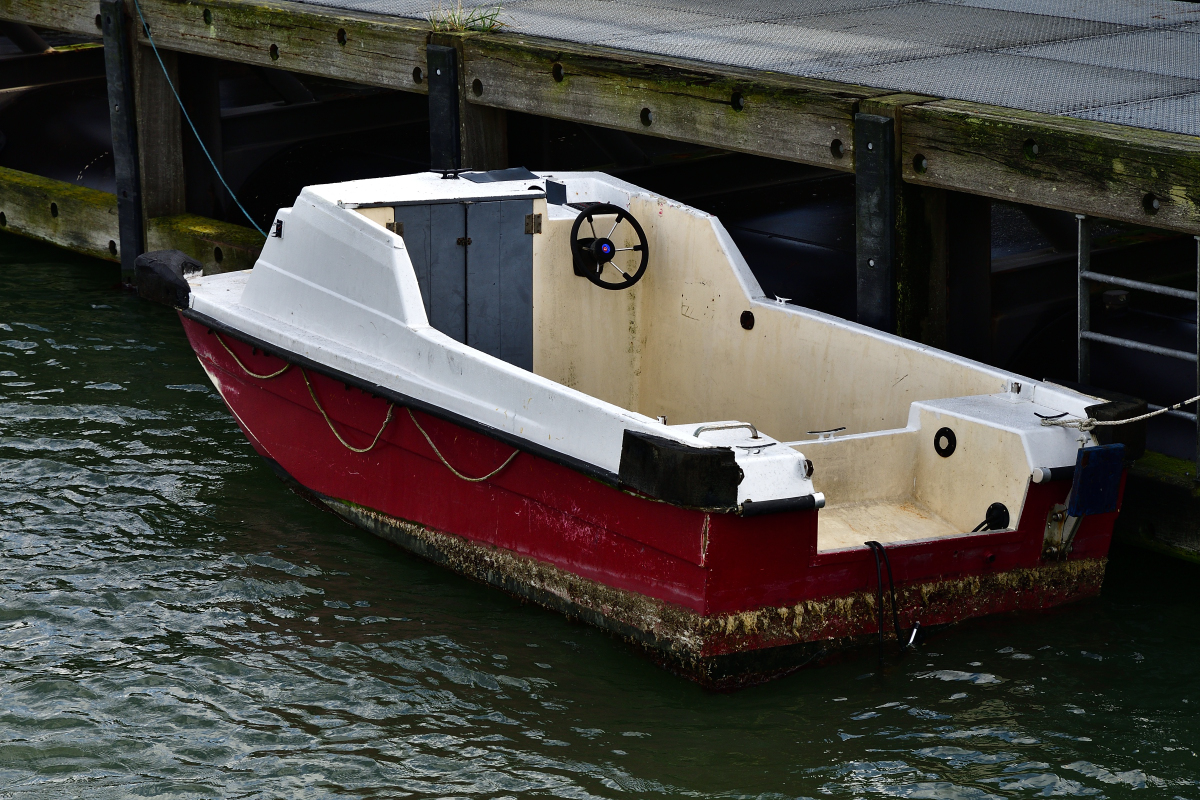 20201102_133641_nf.jpg