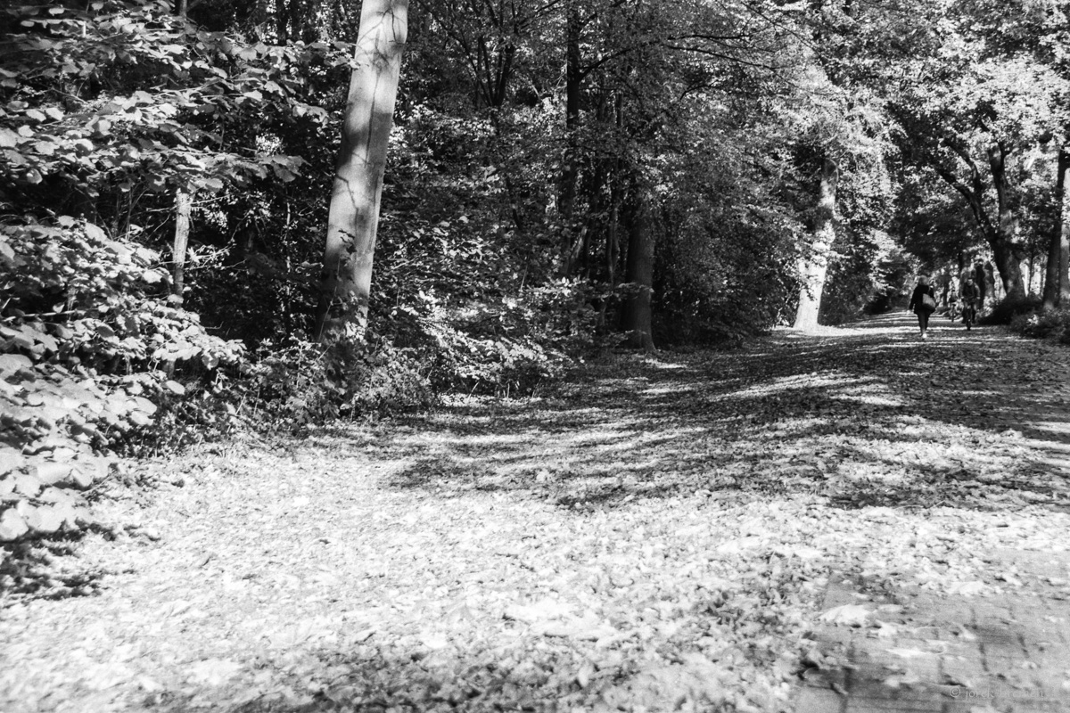 20201107-014.jpg