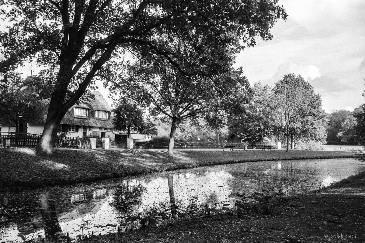 20201107-026.jpg