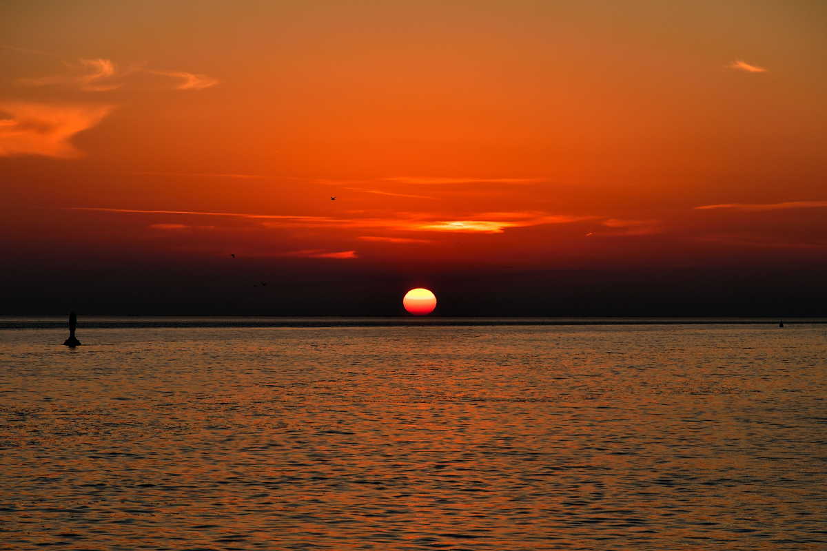 20201107_164458_nf.jpg