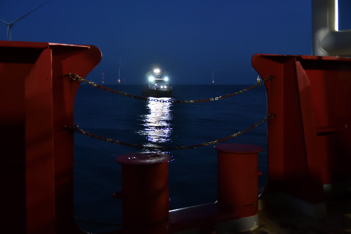 20201109_071410_nf.jpg