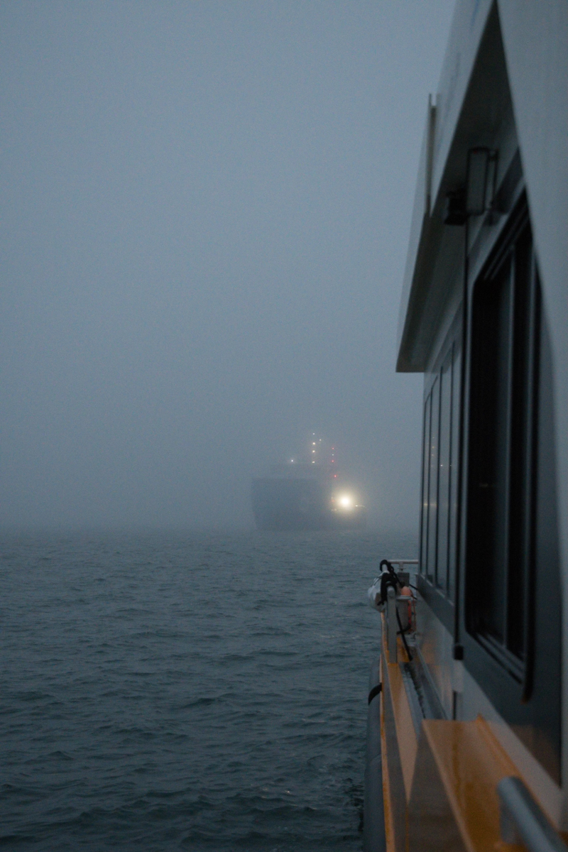 20201111_073546_nf.jpg