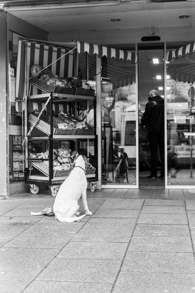 20201230-008.jpg