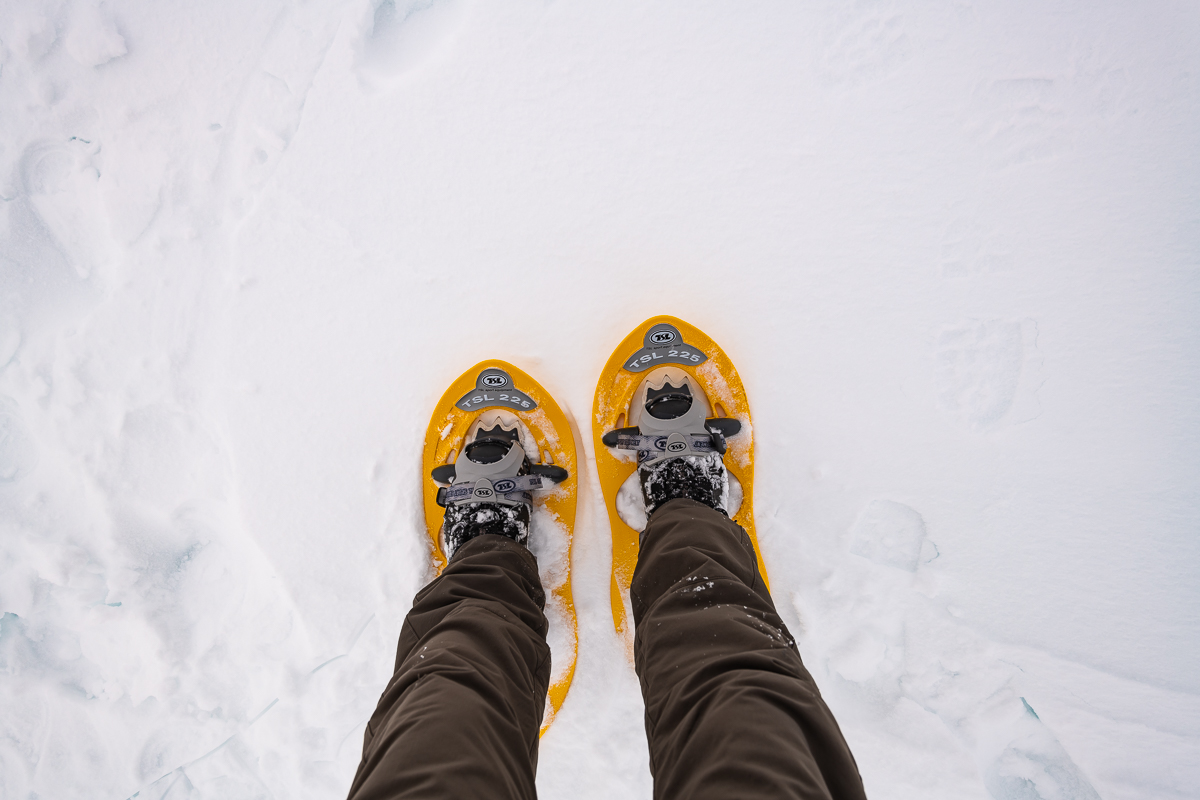 2021-01-16_Hornisgrinde_01.jpg