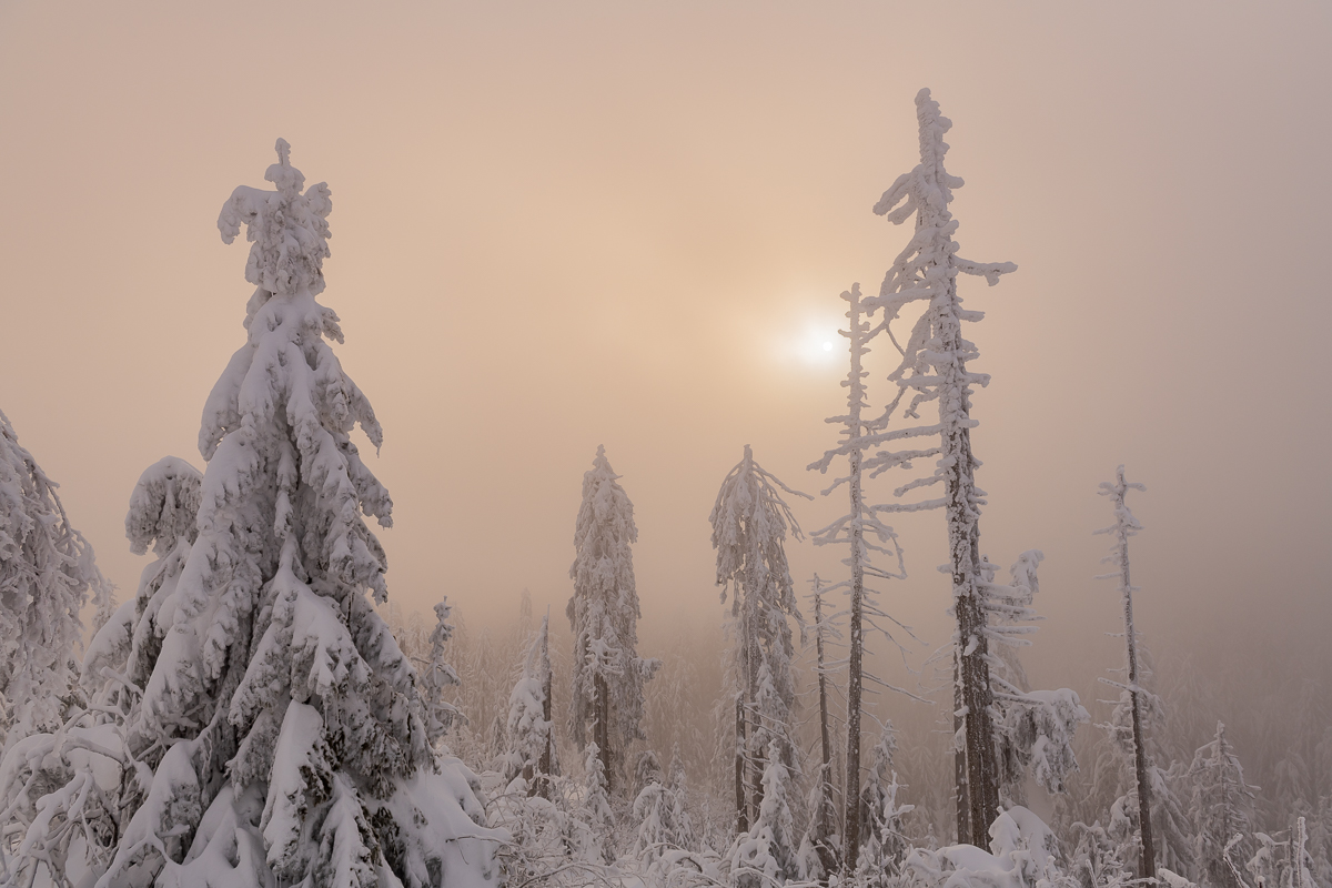 2021-01-16_Hornisgrinde_04.jpg