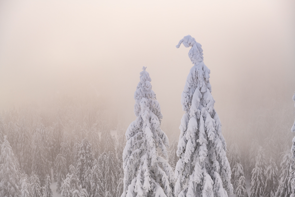 2021-01-16_Hornisgrinde_05.jpg