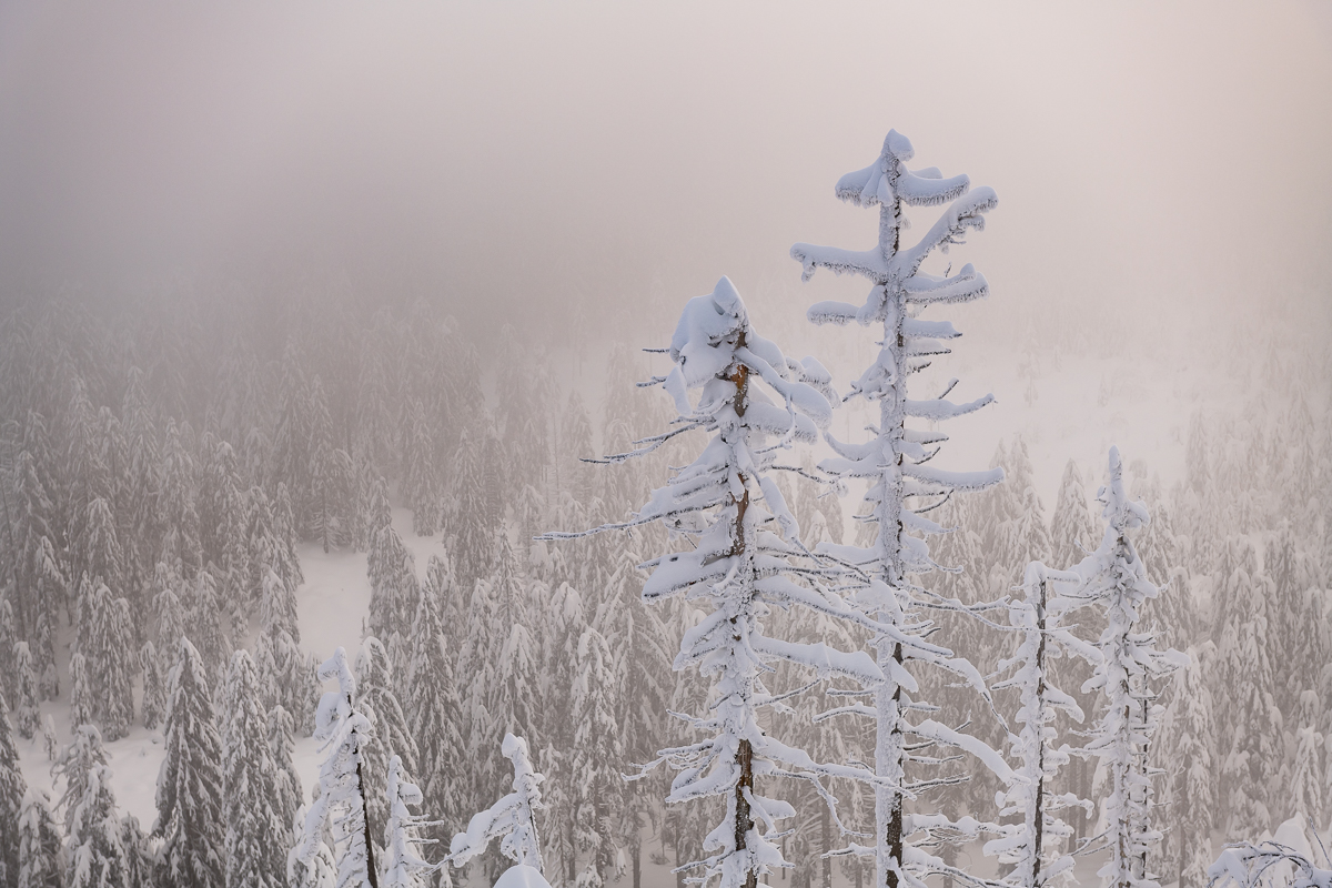 2021-01-16_Hornisgrinde_06.jpg