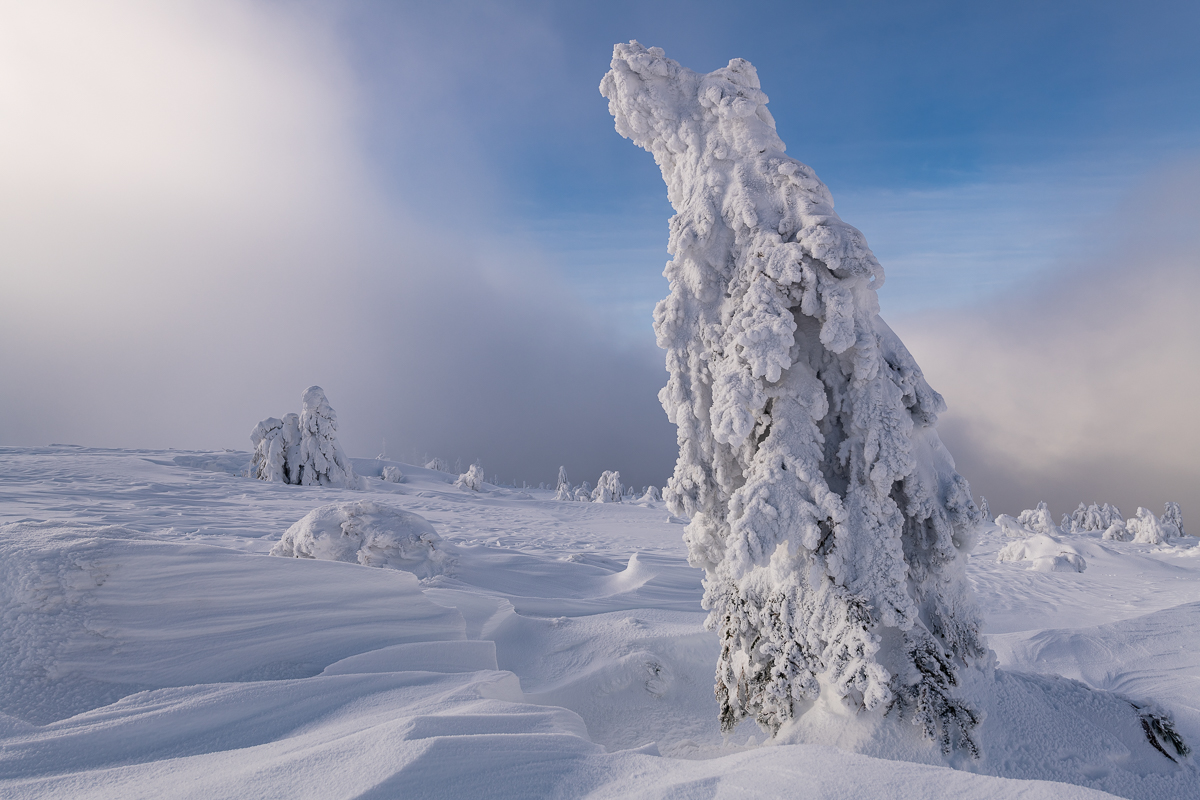 2021-01-16_Hornisgrinde_11.jpg