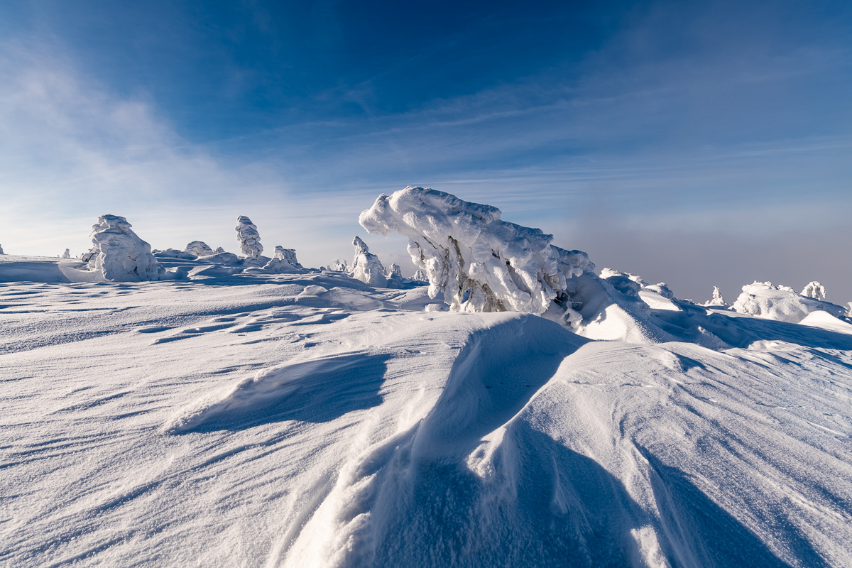 2021-01-16_Hornisgrinde_12.jpg