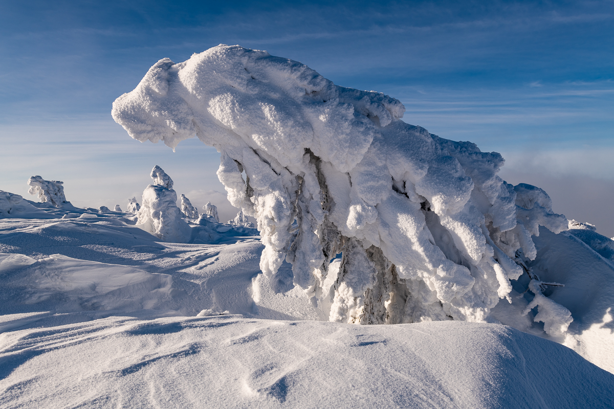 2021-01-16_Hornisgrinde_13.jpg