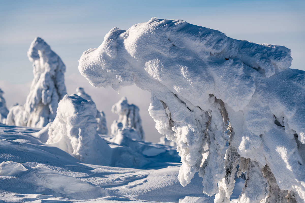2021-01-16_Hornisgrinde_14.jpg