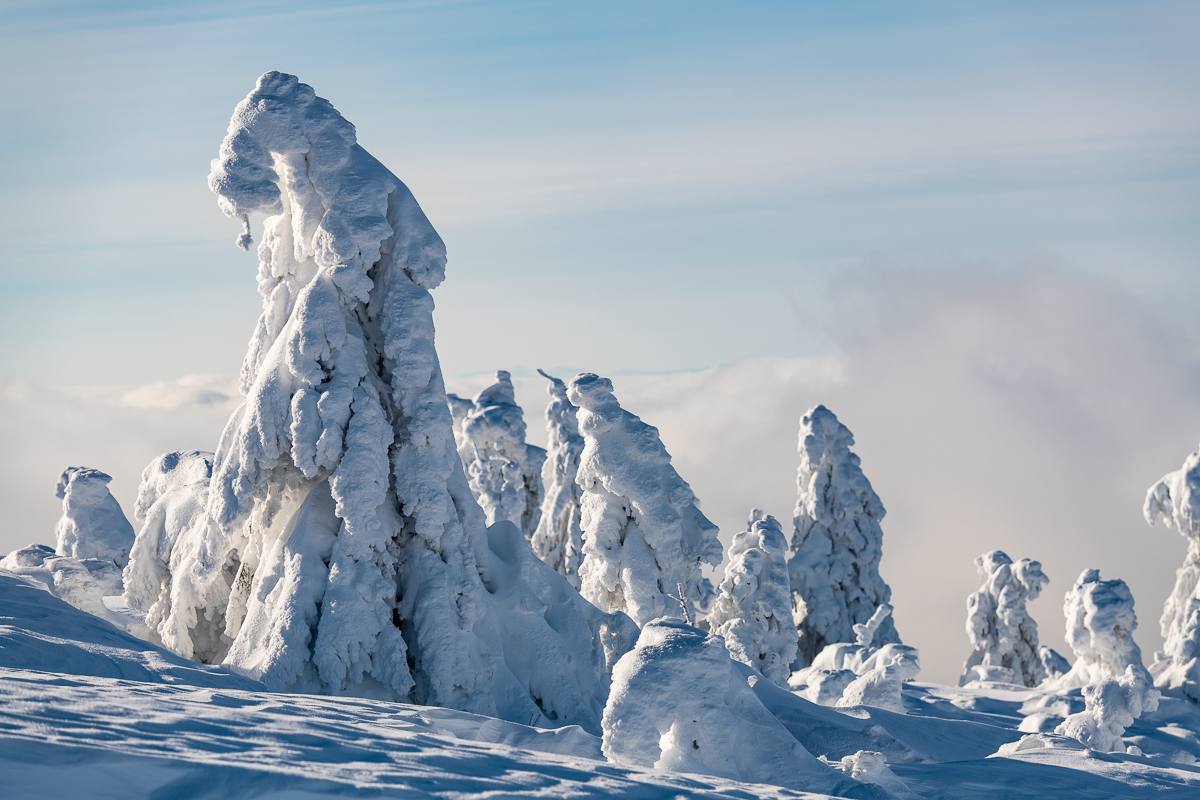 2021-01-16_Hornisgrinde_15.jpg