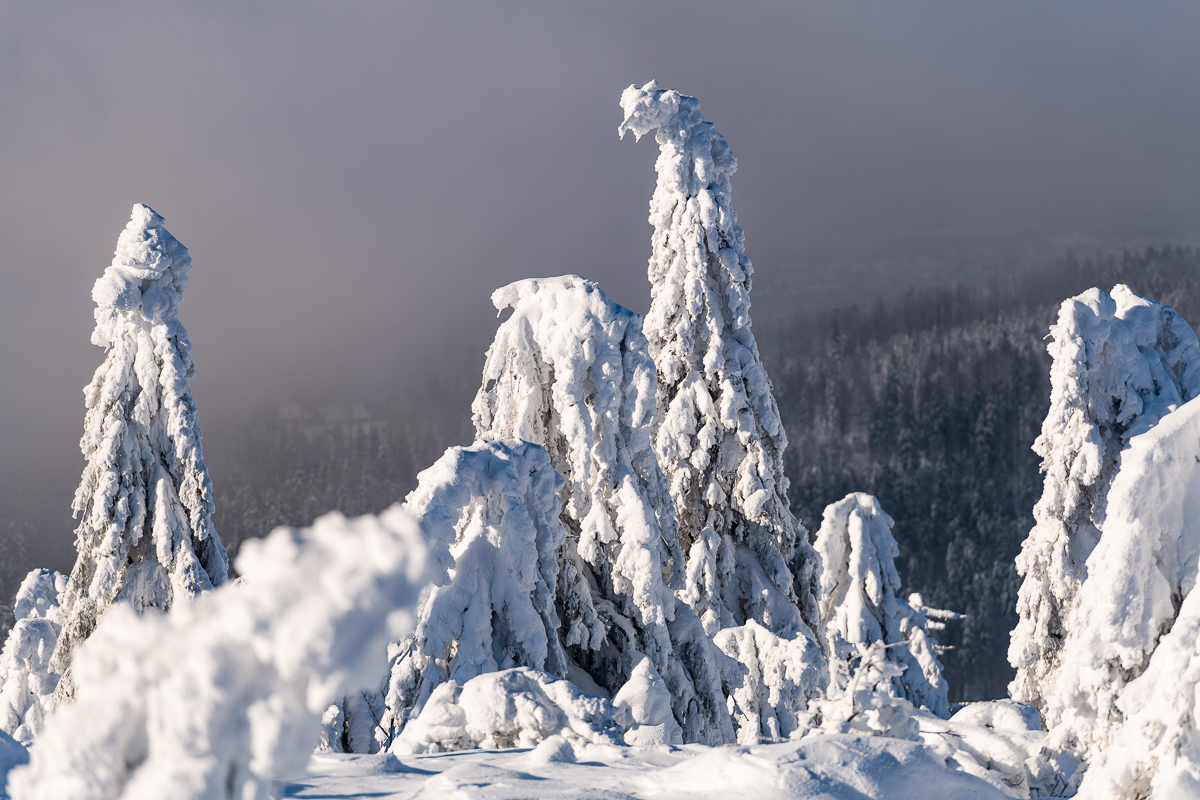 2021-01-16_Hornisgrinde_16.jpg