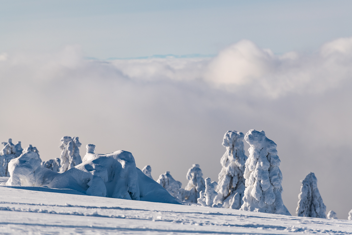 2021-01-16_Hornisgrinde_17.jpg