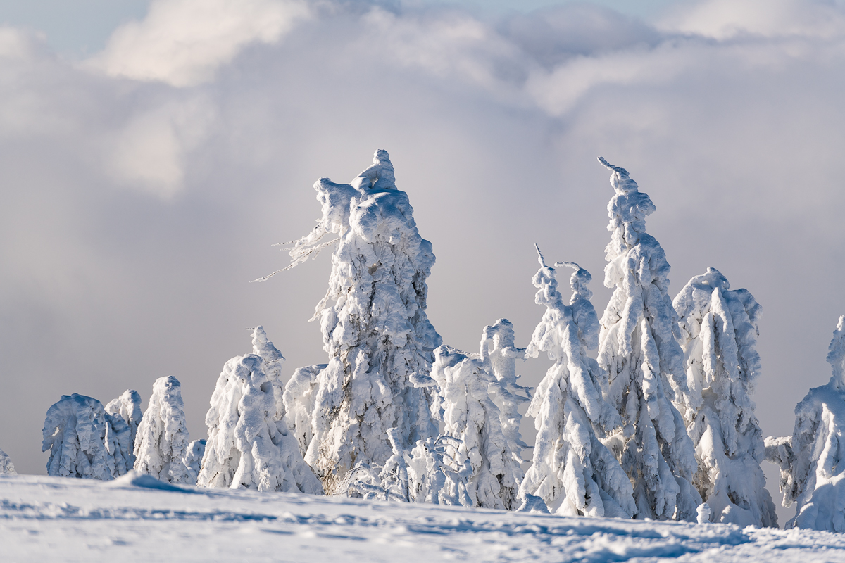 2021-01-16_Hornisgrinde_18.jpg