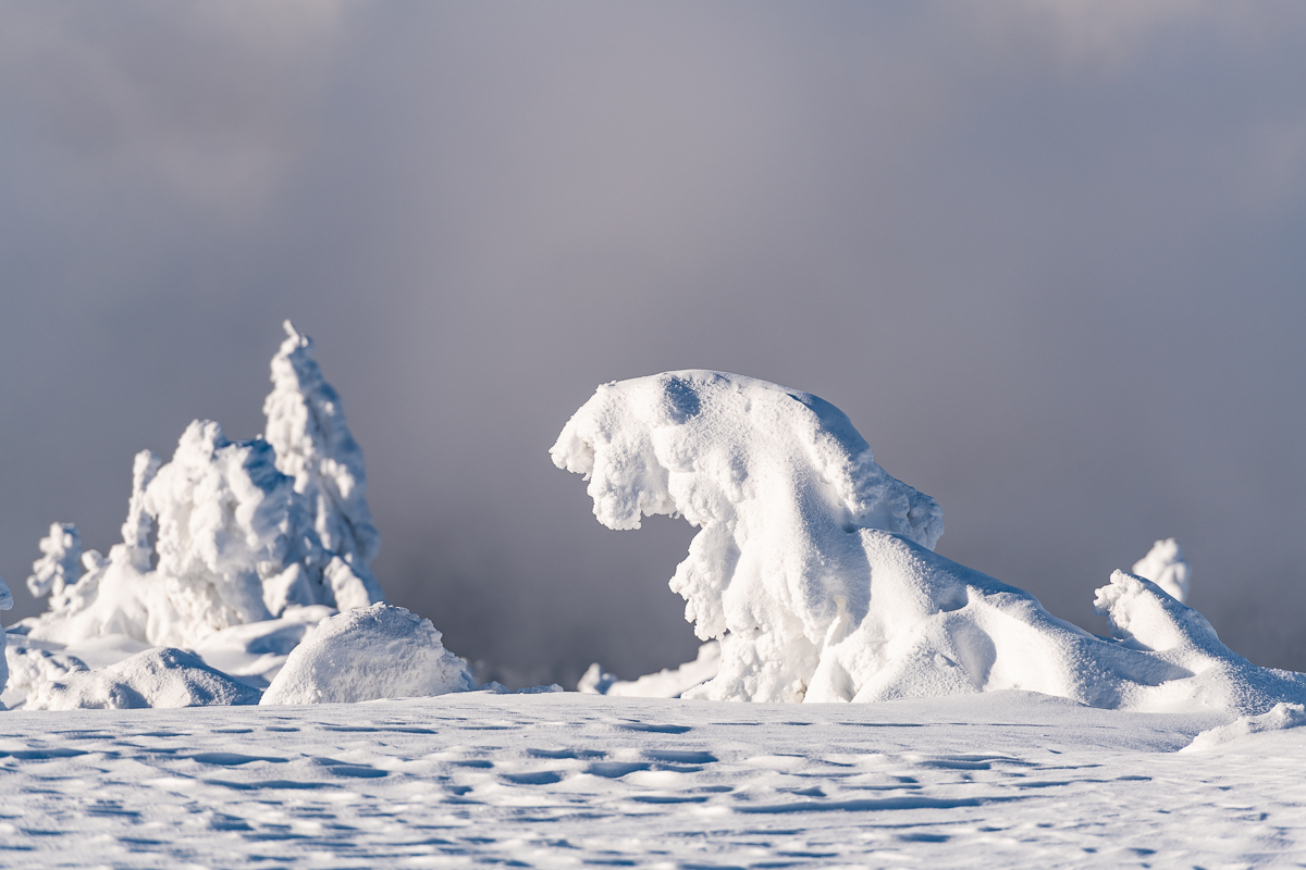 2021-01-16_Hornisgrinde_19.jpg