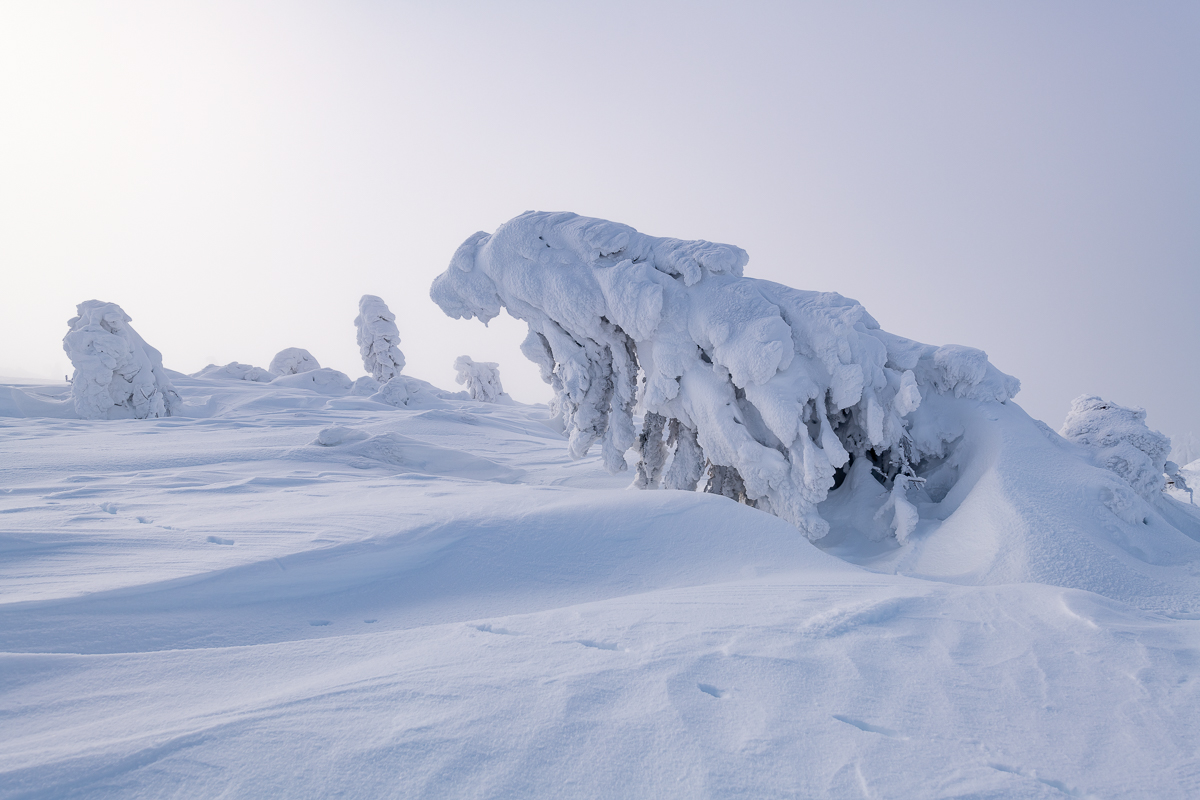 2021-01-16_Hornisgrinde_21.jpg