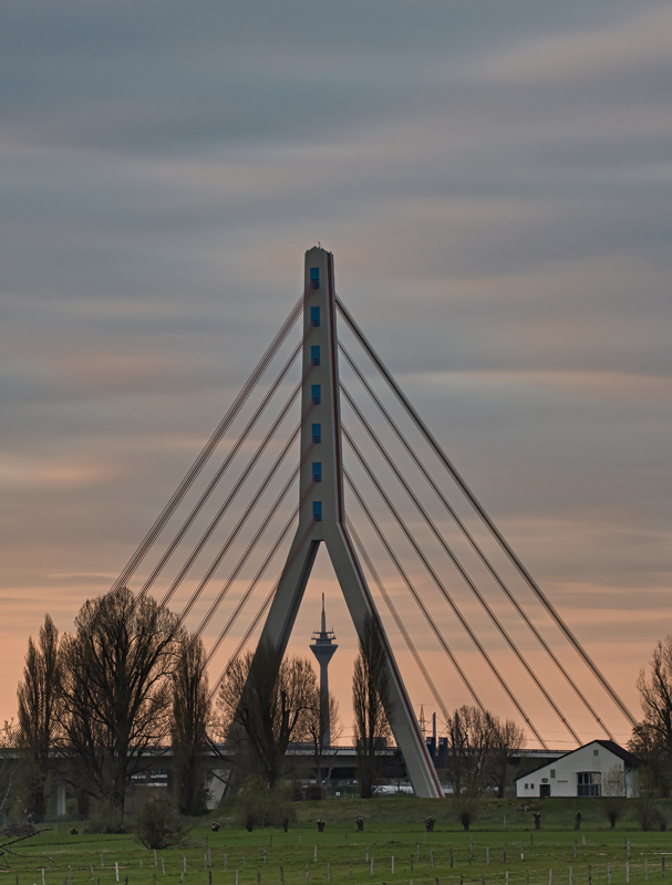 2021-04-17-19h00NF33.jpg
