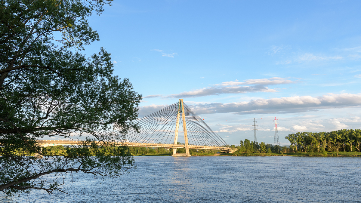 2021-05-15_Tulln_Rosenbrücke_0008.jpg