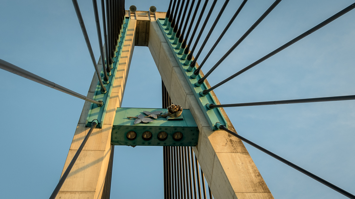2021-05-15_Tulln_Rosenbrücke_0010.jpg