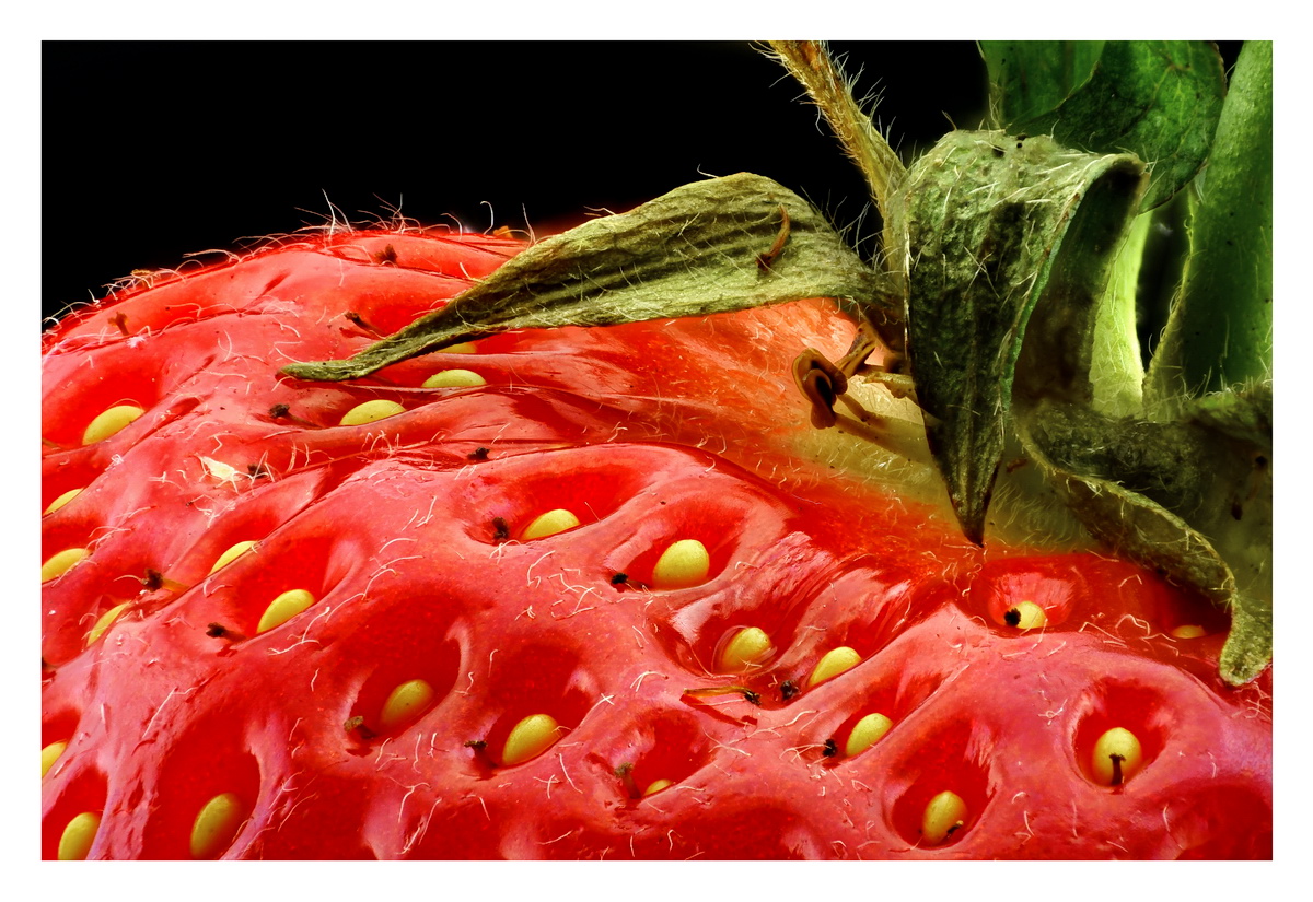 2021-07-11 01-35-39 (C,Smoothing1)_r_fb.jpg