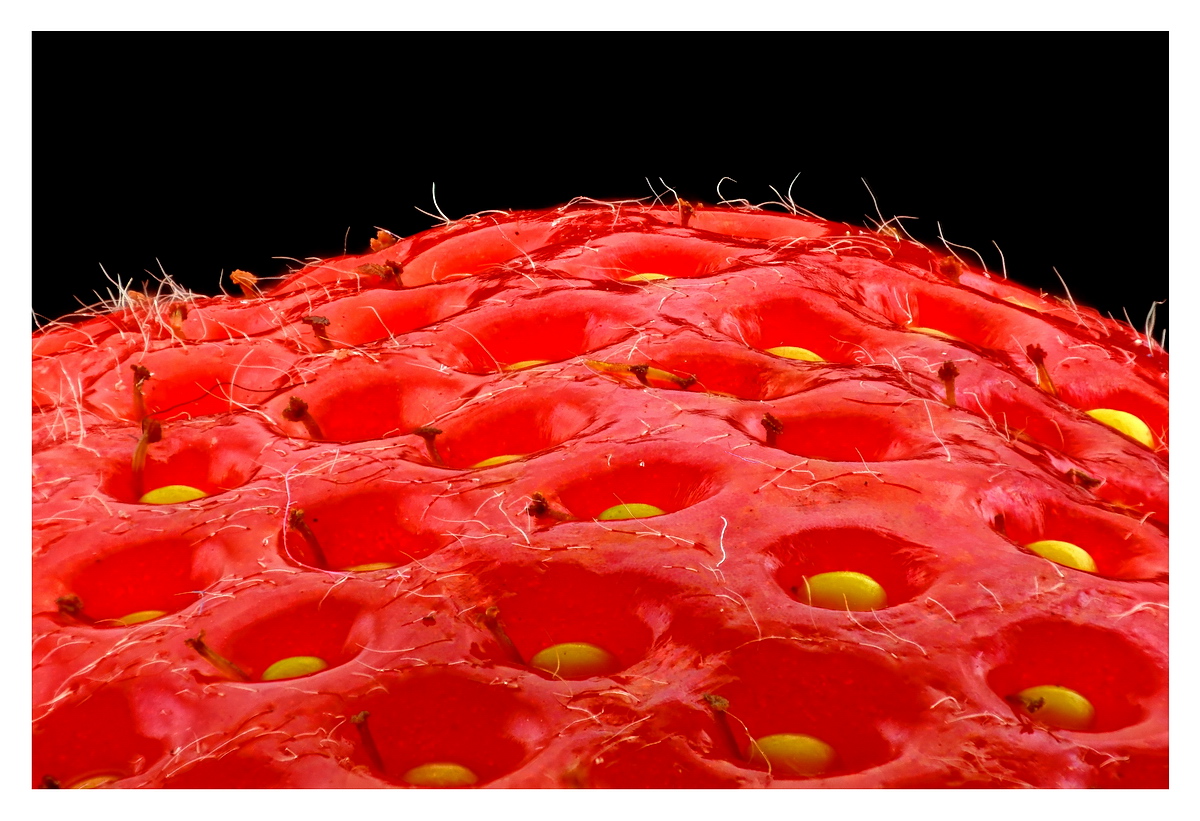 2021-07-11 01-53-17 (C,Smoothing5)_NFF.jpg