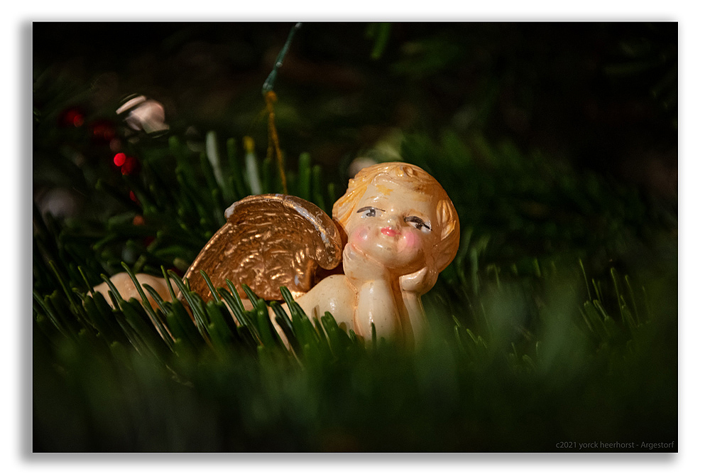 20210102_Deisterwinnie-Weihnachtsschmuck_0010-WEB-FORUM.jpg