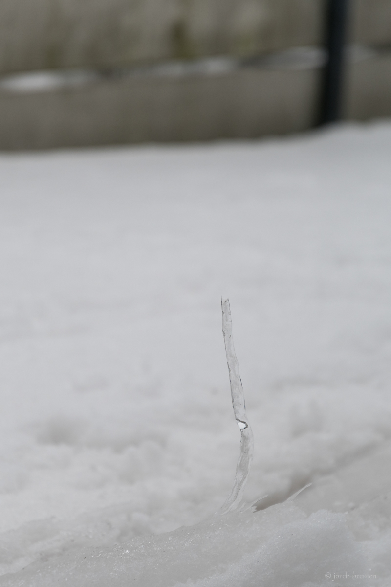 20210210-001.jpg