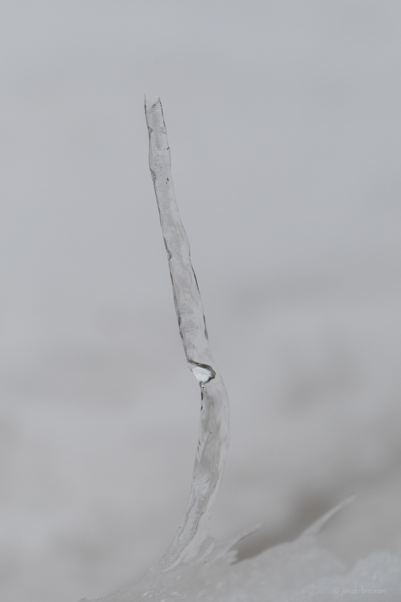 20210210-002.jpg