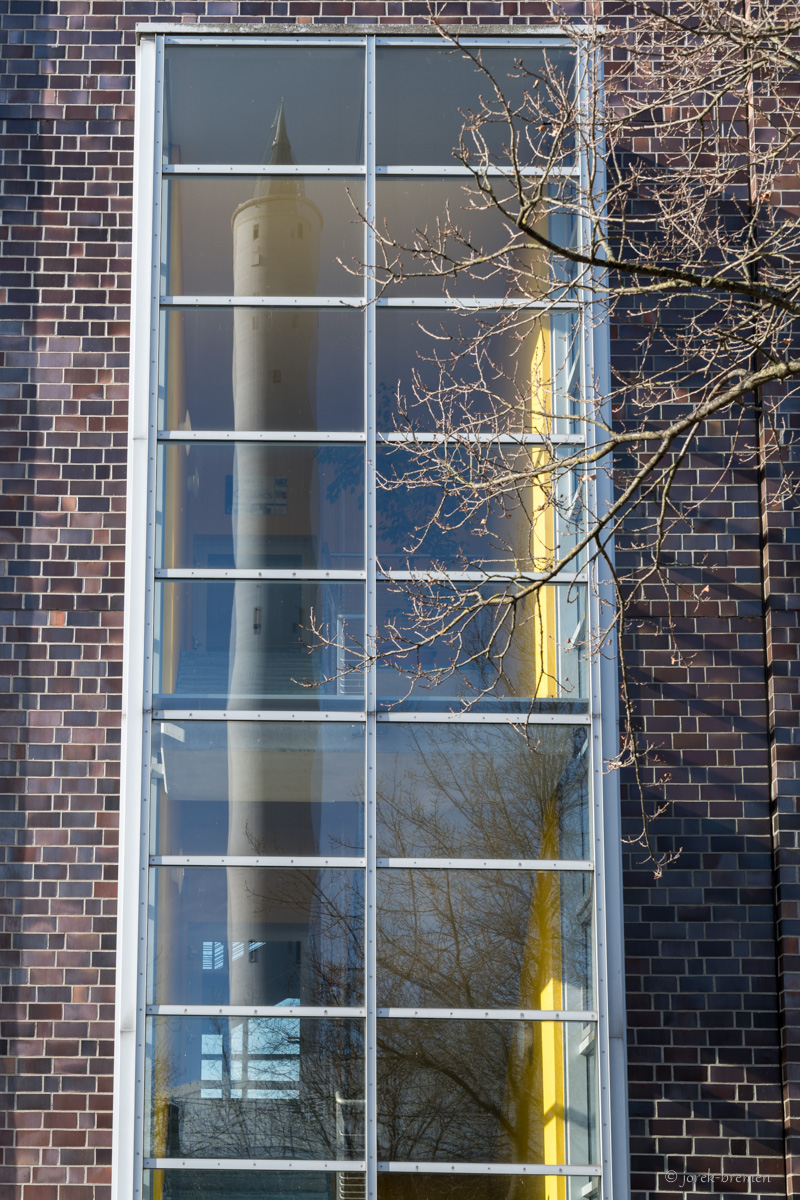 20210219-009.jpg