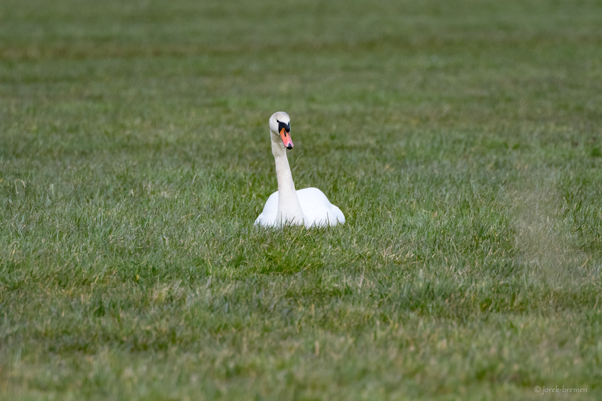 20210325-015.jpg