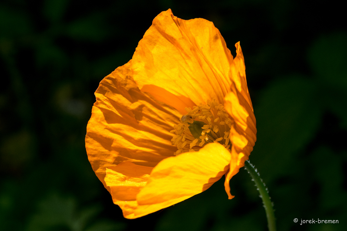 20210530-001.jpg