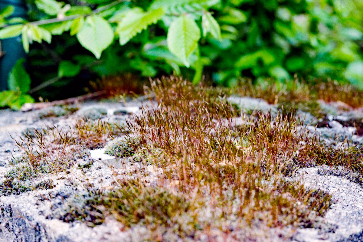 20210531-007.jpg