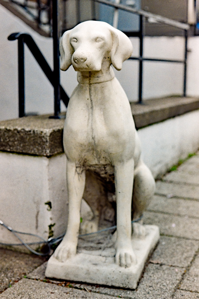 20210531-013.jpg