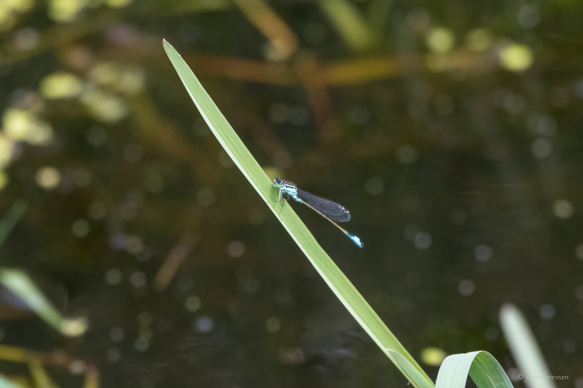 20210608-008.jpg
