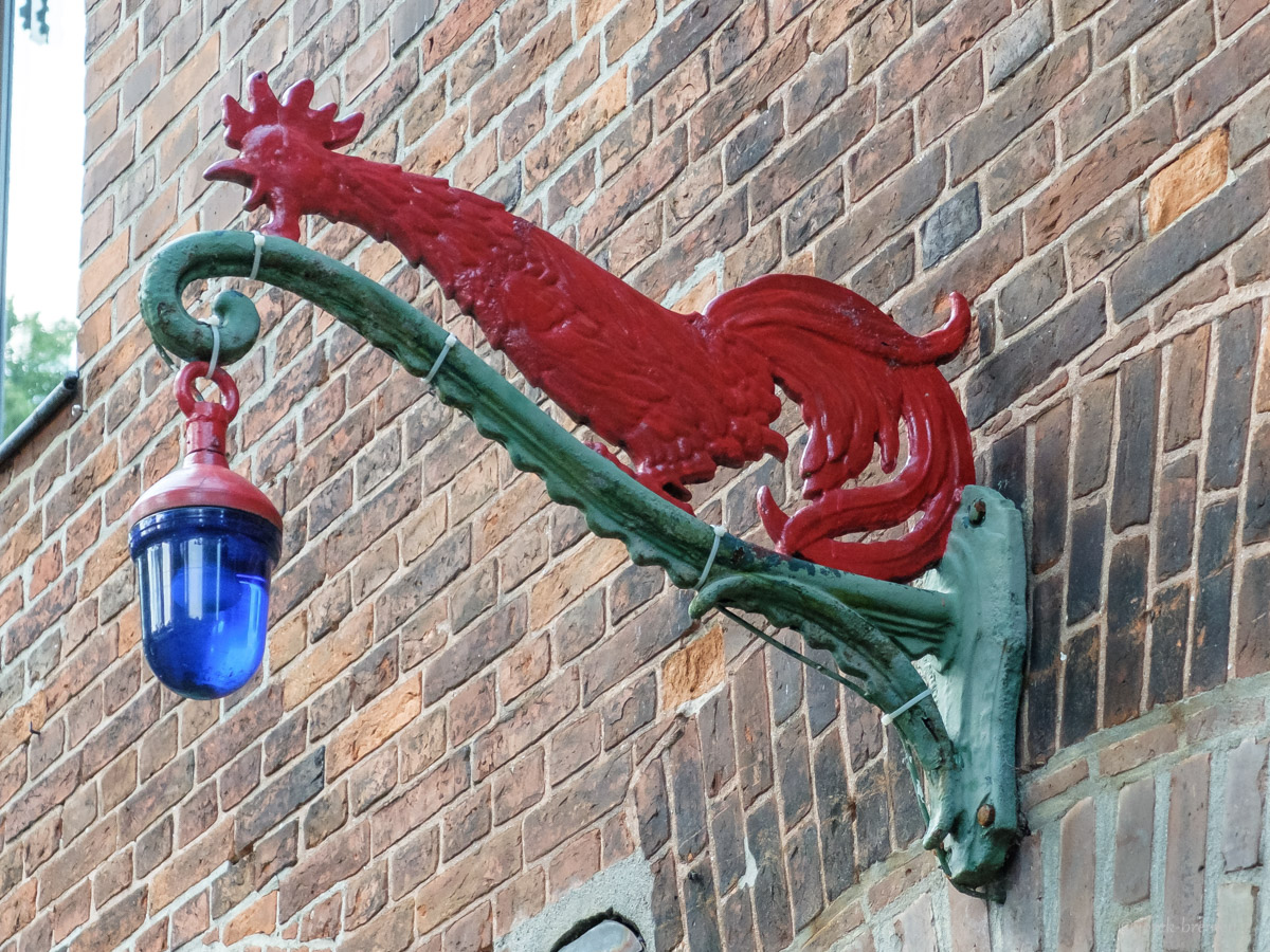 20210625-004.jpg