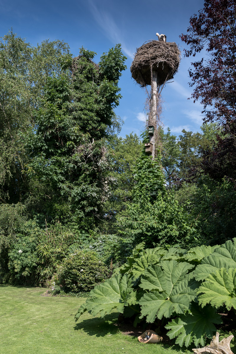 20210703-025.jpg