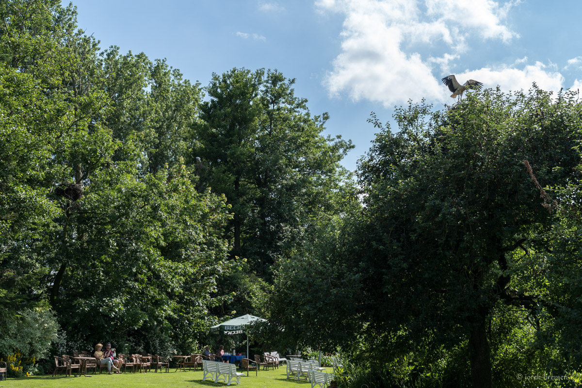 20210703-028.jpg