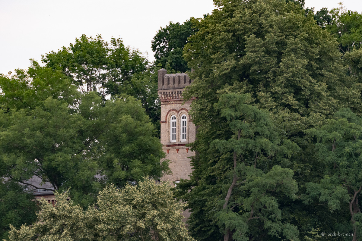 20210708-009.jpg