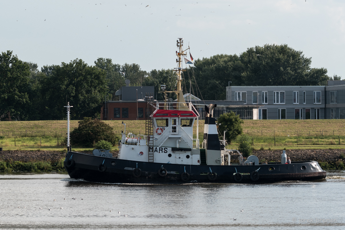20210725-011.jpg