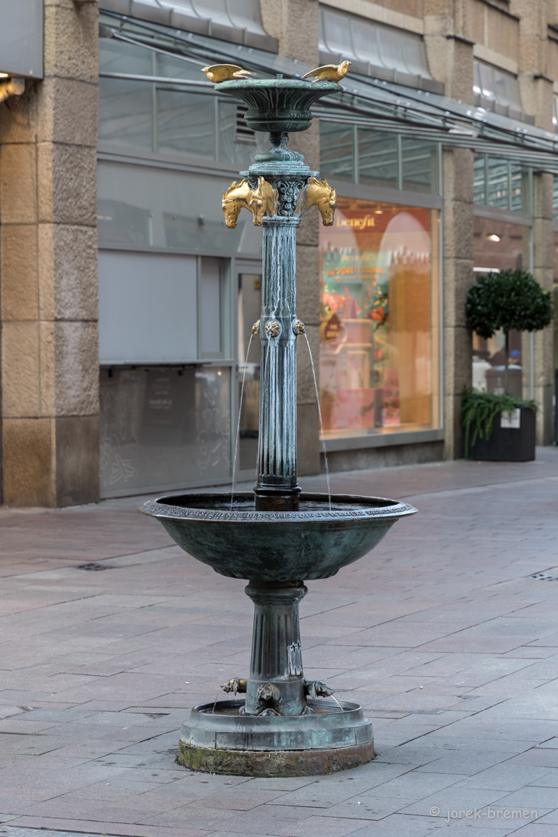 20210914-008.jpg