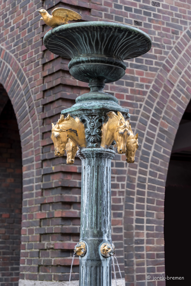 20210914-009.jpg