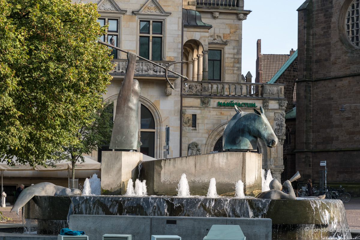 20210914-013.jpg