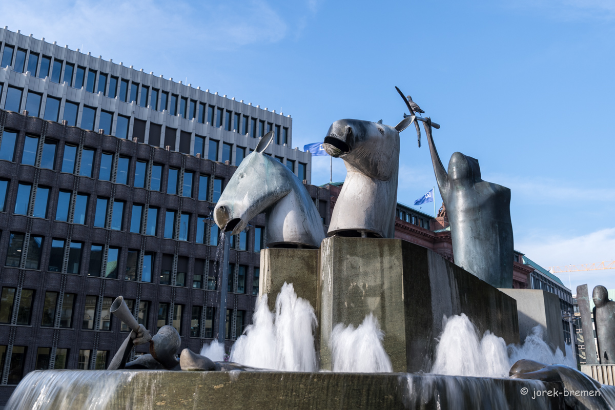 20210914-014.jpg