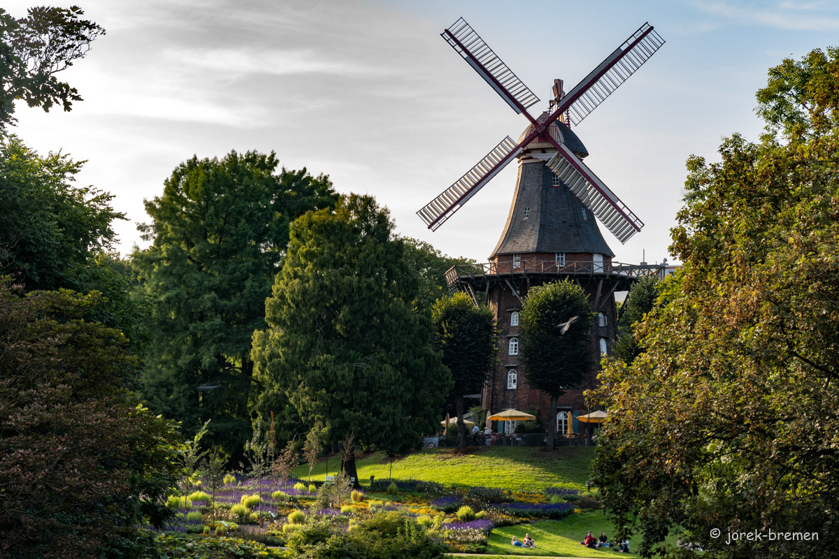 20210914-021.jpg
