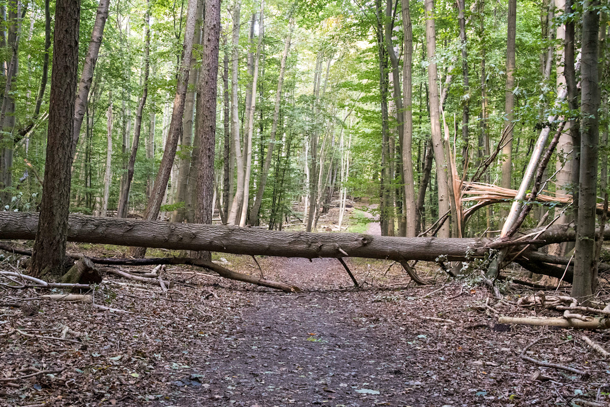20210925_170329_nf.jpg