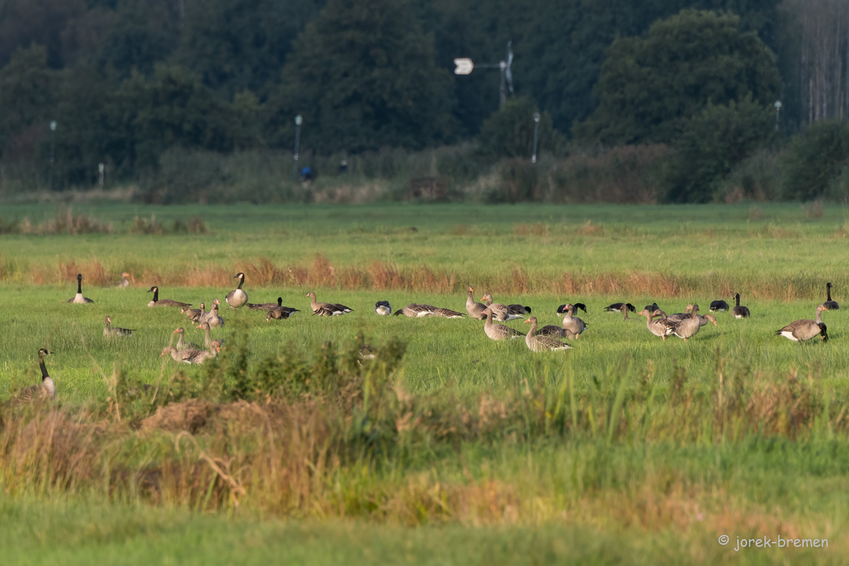 20210928-D50_3522-Bearbeitet.jpg