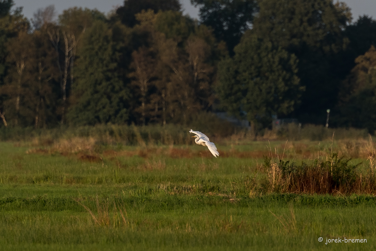 20210928-D50_3547-Bearbeitet.jpg