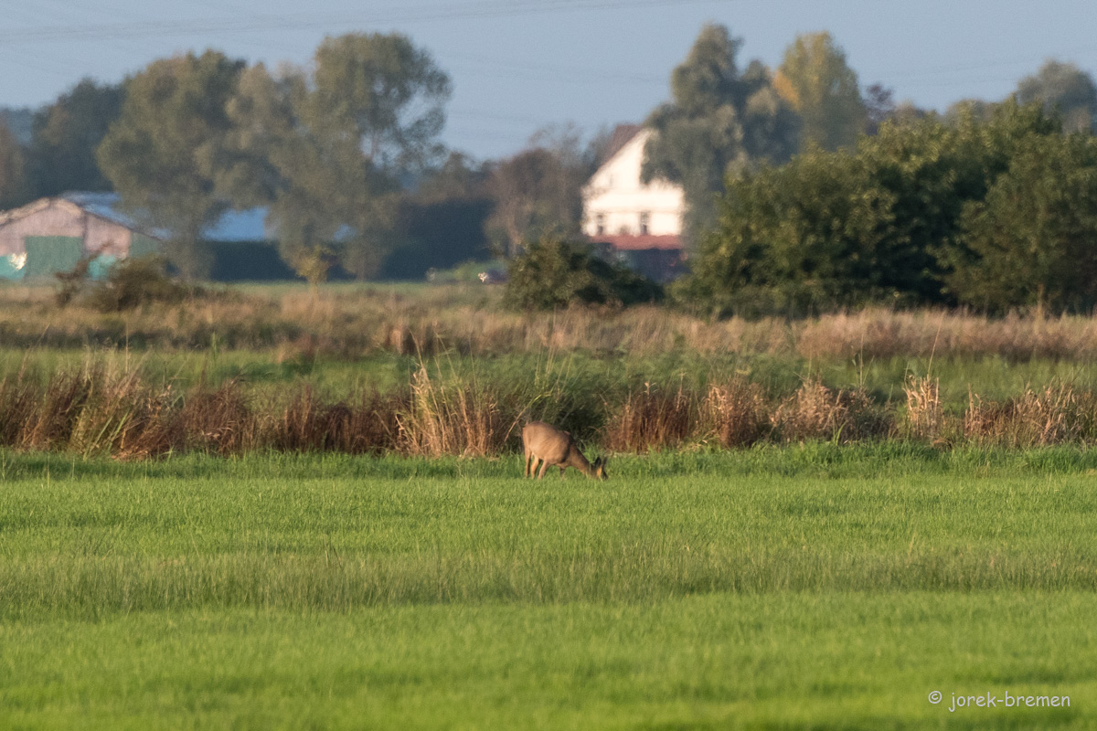 20210928-D50_3572.jpg