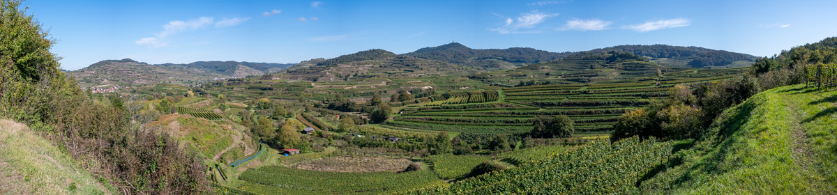20211014-NZ6_5170-Pano.jpg